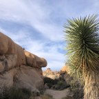 I visited three national park sites during the shutdown. In hindsight, I have mixed feelings — and here’s why